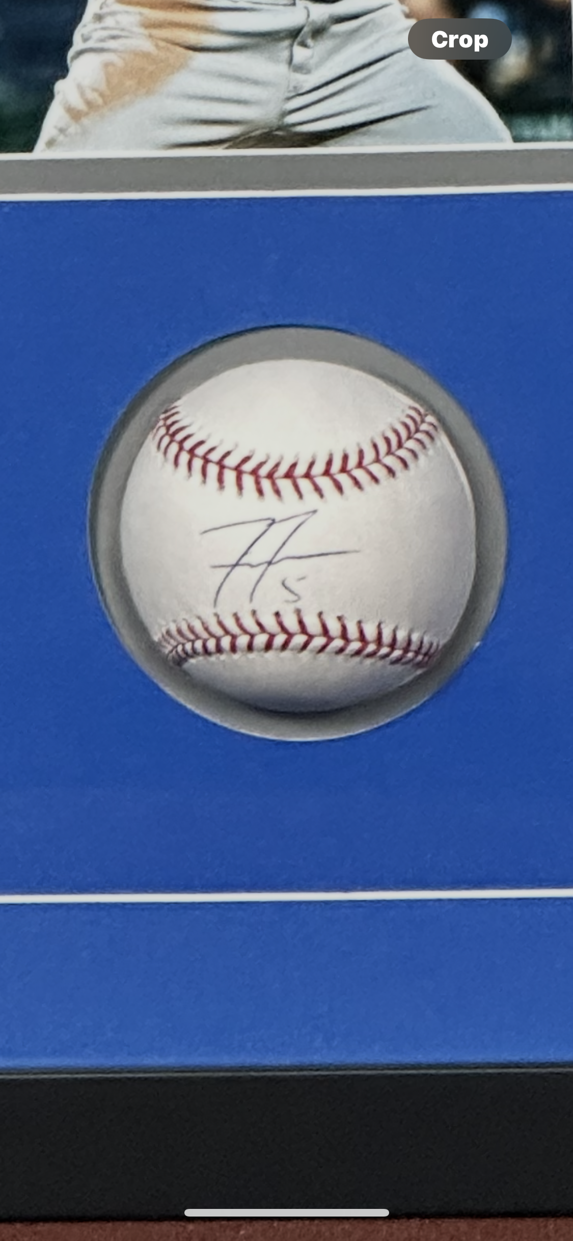 Freddie Freeman Signed Baseball in Shadow Box